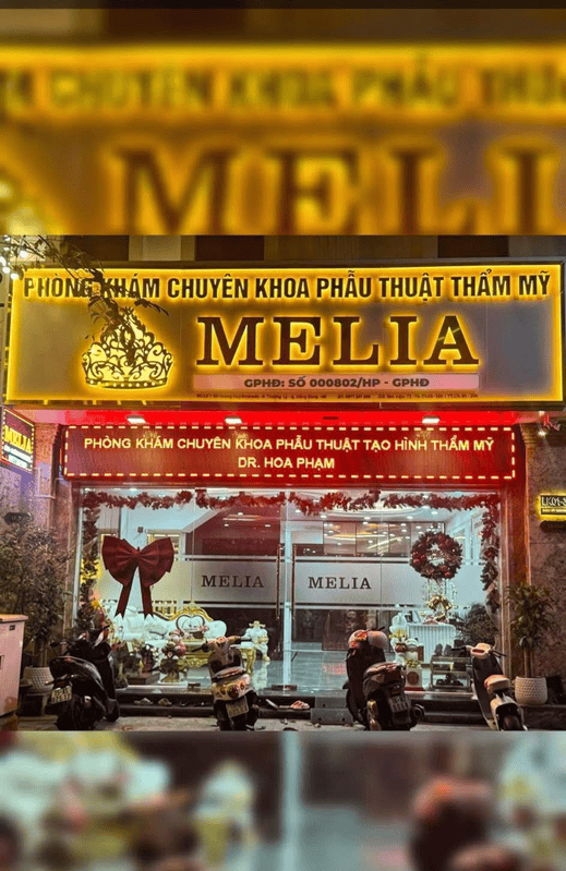 Giới thiệu về thẩm mỹ Melia